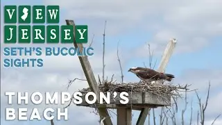 View Jersey: Seth's Bucolic Sights - Thompson's Beach-Season 2 Episode 4
