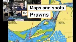 PRAWN FISHING, Logan River to Caboolture River, Napa and spots