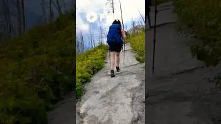 #HikingLife #OutdoorAdventure #NatureLover #TrekkingDiaries #Backpacker #ScenicTrails #aiart #trek