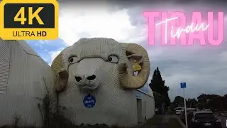 Walk in Tirau | North Island Town | New Zealand | 4K