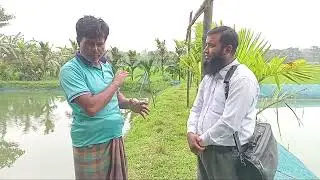 Antibiotics free fish production Pond Health  46 পন্ড হেলথ ৪৬ Tarakanda, Mymensingh 