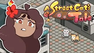 Жизнь маленького бродячего котёнка трудна! 🐱 История уличного котёнка • №2