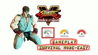 GAMEPLAY SFV - SURVIVAL MODE - EASY