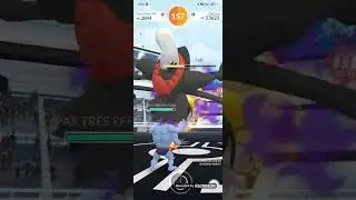 Shadow darkrai duo (16/11/2025) no🗡️🛡️🤝, no mega, no shadows, cloudy weather ☁️ (wild area 2025)