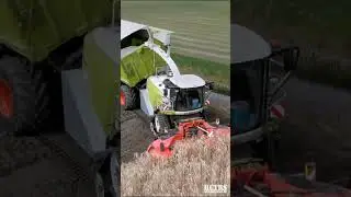 CLAAS Jaguar 980