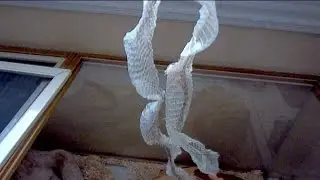 Beginning Snake Owner: My Snake Sheds