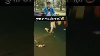 कुत्ता डर गया, इंसान नहीं 😂| funny dog video #ytshorts #viralvideo #funnyvideos #funnydog