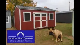 🎅🐶 Hank Says This Shed Is Santa-Approved! 🎁🏡