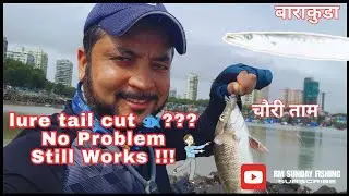 Modified rapala imposter shrimp damaged lure & it still works 😜 | RM Sunday rock  fishing jugad 👍🙏🎣