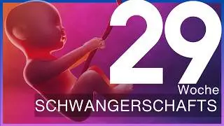 29. Schwangerschaftswoche: Wie du dich und dein Baby optimal vorbereitest | Update 29 SSW &ndash; SSW29