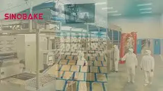 SINOBAKE Soft Biscuits/Cracker/Wire Cut Cookies/Extruder Cookies/Center Fill Cookies/Potato Chips.