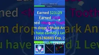 shark ankhor! let's go