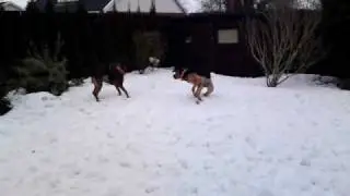 20100226001.MP4