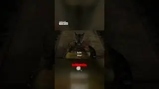 &iexcl;Un intercambio que no te puedes perder en Skyrim! 😂🎮