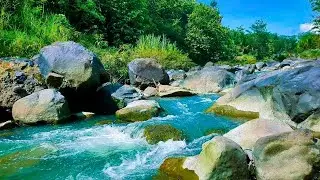 Live 24/7 Tranquil River Flow &ndash; Relaxing Water Sounds & Green Noise for Sleep & Calm
