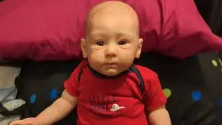 Toddler Tuesday!