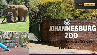 Joburg Zoo Tour | Where the Lions Roar & Tourists Stroll—Welcome to the Wild Side of Gauteng! 🦁