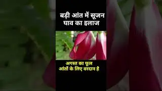 August Ke phool Se bimariyon ka ilaaj#youtubeshorts #SHORTS#shortsfeed
