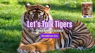 #월드컴에듀 #미국교과서 #브레인뱅크 G2 Science Book 1 Let's Talk Tigers