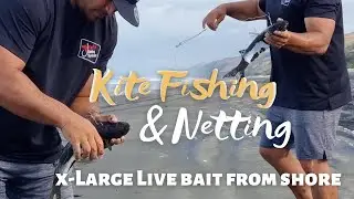 Netting Grey Mullet for XLarge live bait | Kite Fishing West Coast in Big Winds