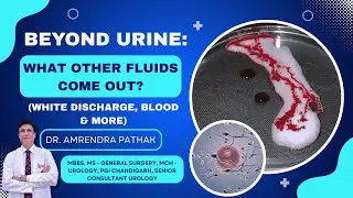 Why Do Fluids Come Out Through the Urinary Passage? Blood, Semen & Discharge Warning Signs