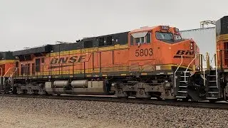 BNSF 5803 Trailing On A Couple Coal Trains! 2/22-27/19
