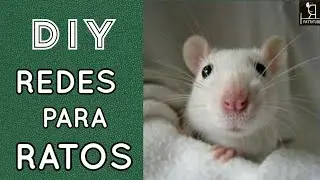 DIY | Rede para ratos Twister /Limpeza | ratazana/mercol/ rattus norvegicus