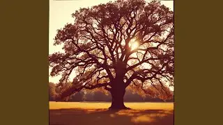 When the Earth Trembles, I Stay Strong