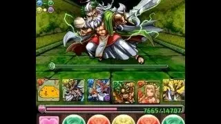 パズドラ【ゼウス・ディオス降臨！超地獄級】あついさん×ラーPT　ノーコン！攻略PT