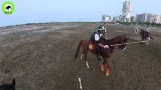 Polo Chukker highlights