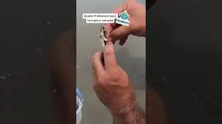 Veja como utilizar o iscador da Chumbada para Corrupto