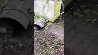 Weed & Wild Soil Cleaner Machine: Fast Cleaning Without a Hoe #construction #popular #shorts