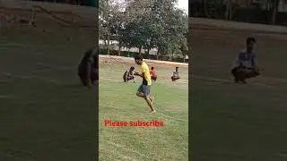 Koko @vmeg