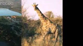 The Luxury of the Pilanesberg Lodge and Sun City Accommodation