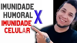 DIFEREN&Ccedil;A ENTRE IMUNIDADE HUMORAL E IMUNIDADE CELULAR