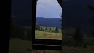 #nature #naturelovers #mountains ##sheep #explore #find #bosnia #bosniaandherzegovina