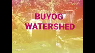 MEANWHILE IN BUYOG WATERSHED