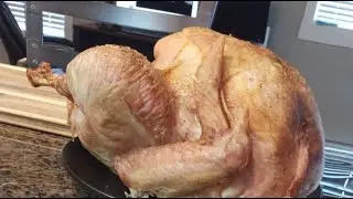 Thanksgiving Livestream!