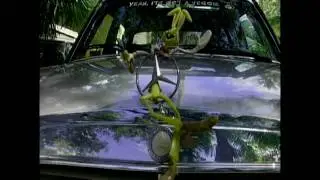 Living-Green-Retrofitting-Cars-Boats