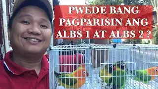 ALBS 1 AT ALBS 2 PWEDE BANG PAGPARISIN?