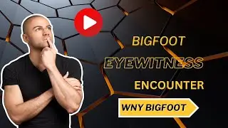 Bigfoot Eyewitness