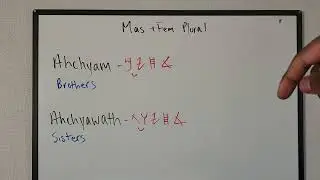 masculine and feminine plurals