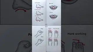 Know your personality #shorts #shortsfeed #youtubeshorts #art