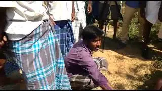 A pit in Neduvasal filled with oily waste