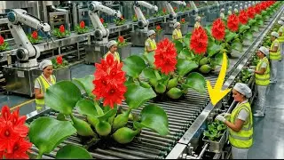 Inside a Modern Water Hyacinth Factory &ndash; From Raw Plants to Finished Products