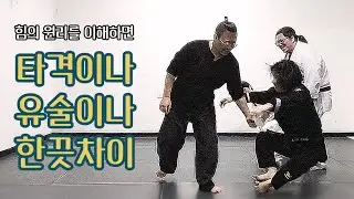 #매일합기 226.  합기권법 아테미 - 합기 원리를 활용한 타격 강화 | 호신술.KR (대동류합기유술 연심관 한국지부, ASAP호신술 본부) #合気 #aiki