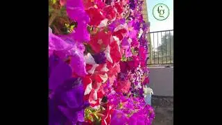 🌿 Professional Green Walls Solutions 🌿 | 📞 Call us: +971 58 110 1177