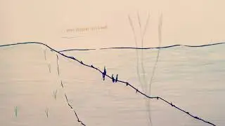 Metamorphose der Amphibien am Beispiel Laubfrosch