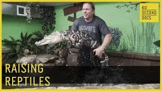 Выращивание рептилий | Брайан Барчик SnakeBytesTV // 60-секундные документы