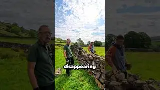 Is This a Dying Art? 🧱⚒️